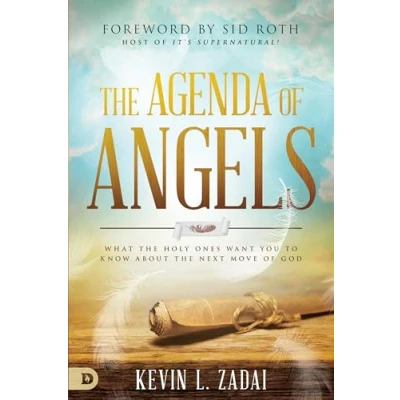 Afbeelding van the Agenda of Angels: What Holy Ones Want You to Know About Next Move God