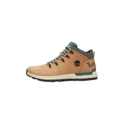 Afbeelding van Timberland Sneakers laag, Heren, Maat: 41.5, Medium brown Schoenen
