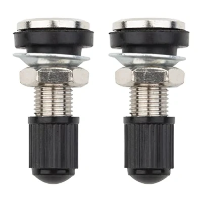 Afbeelding van FanPaYY 2 stuks bandenventielen, velgventielen met stofdoppen, tubeless ventiel, metaal, ventielschachten, voor auto, motorfiets, banden