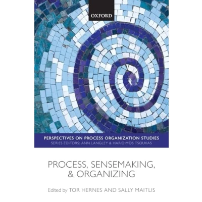 Afbeelding van Process, Sensemaking, and Organizing