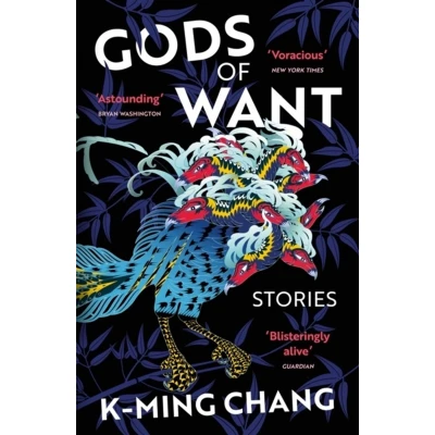 Afbeelding van Gods of Want: A New York Times Notable Book 2022