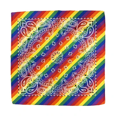 Afbeelding van Boerenzakdoek regenboog 53 x 53cm