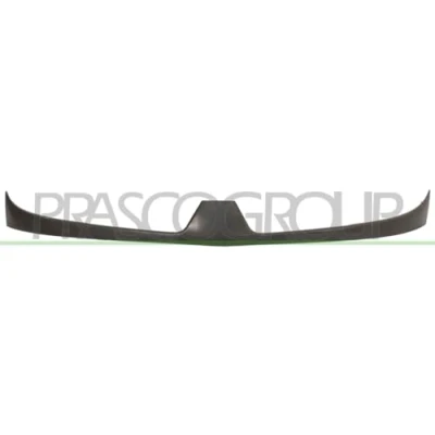 Afbeelding van Radiateurgrille PRASCO RN9172021