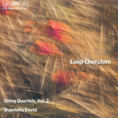 Afbeelding van Quartetto David String Quartet No.3 (CD)