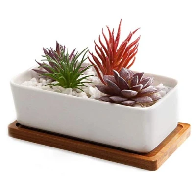 Afbeelding van T4U 16,5CM Succulente Plantenpot Set, Rechthoek Keramiek Vetplant Bloempot met Bamboe Onderzetter, Binnen Klein Cactus Pot Afvoergat Wit voor Sappige Aloë Kruid Decoratieve Geschenk
