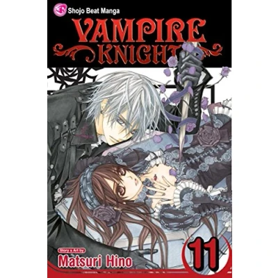 Afbeelding van VAMPIRE KNIGHT 11