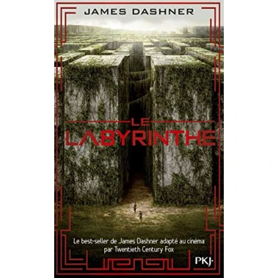 Afbeelding van Le labyrinthe Tome 01 (1)