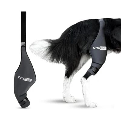 Afbeelding van Ortocanis Kniebeschermers voor honden met kruisbandblessures, patelaluxatie of artrose, maat S, linkerbeen