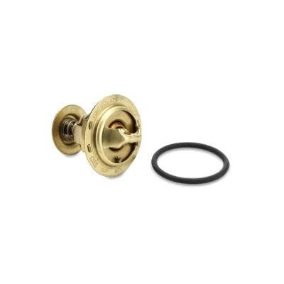 Afbeelding van MAHLE ORIGINAL TI 116 70 Thermostaat, koelvloeistof 70C Met pakking