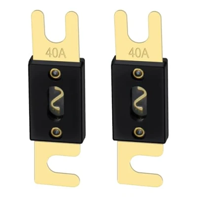 Afbeelding van Heschen ANL Fuse 40 Amp voor Auto Voertuigen Audio Systeem Blad Gold Tone &amp; Zwart 2 Pack