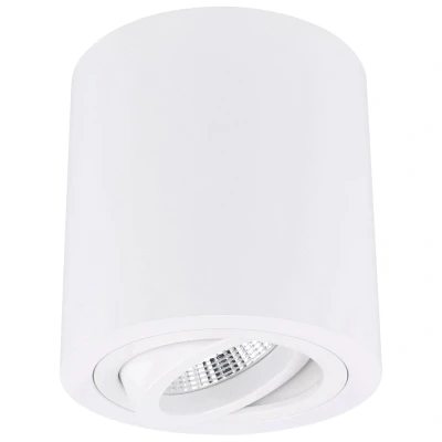Afbeelding van Yphix Roma Opbouwspot Rond 1 Lichtpunt Kantelbaar 90x95mm Wit LEDdirect.nl