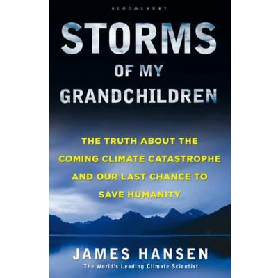 Afbeelding van Storms of My Grandchildren
