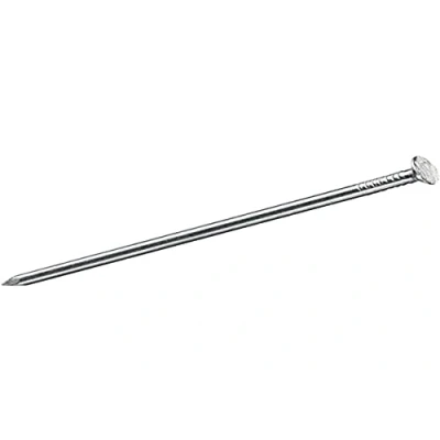 Afbeelding van Fadix Nagels / Spijkers Platte kop 2.4x25mm 100 stuks