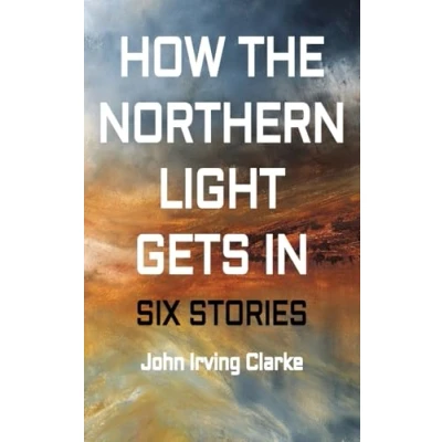 Afbeelding van How The Northern Light Gets In