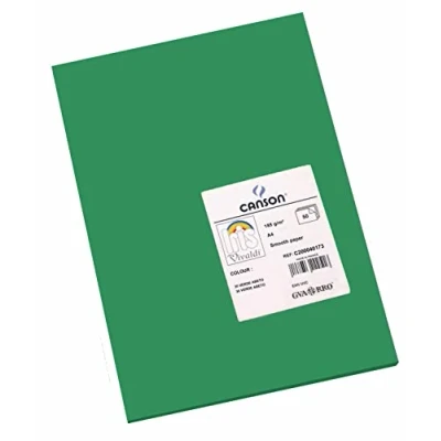 Afbeelding van Canson Iris Vivaldi A4 120 gsm Glad Kleurpapier Licht Grijs 185gsm 50 vel 21x29.7cm Mos Groen