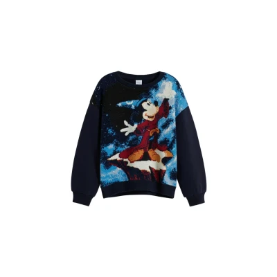 Afbeelding van Desigual Sweatshirt blauw / gemengde kleuren
