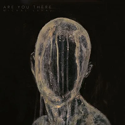 Afbeelding van Michal Lapaj Are You There (2 LPs)