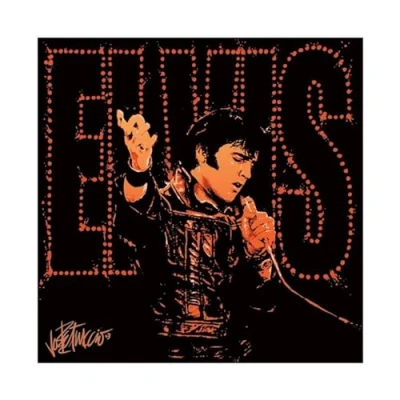 Afbeelding van Kunstdruk Elvis Presley 68 40x40cm