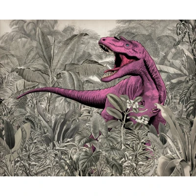 Afbeelding van Komar Vliesbehang Pinky 350x280 cm (breedte x hoogte)