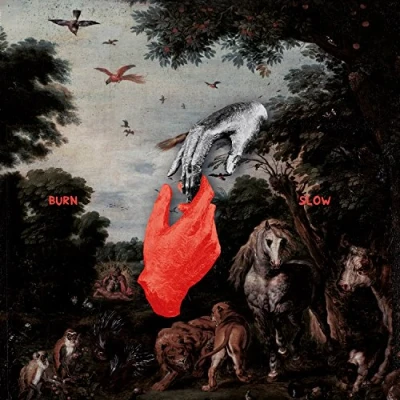Afbeelding van Chris Liebing Burn Slow (CD)