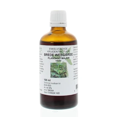 Afbeelding van Natura Sanat Plantago Major / Brede Weegbree Tinctuur, 100 ml