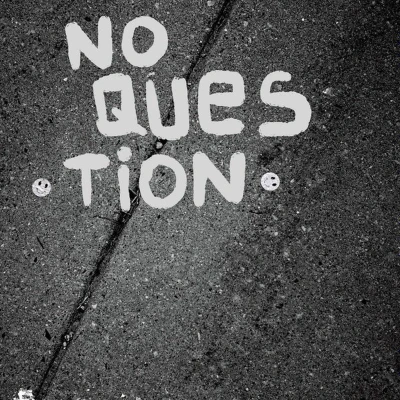Afbeelding van No Question (7&quot; Vinyl Single)