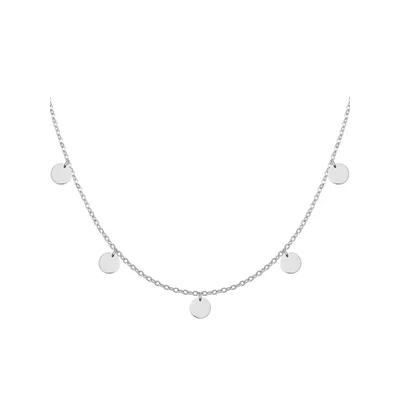 Afbeelding van ketting met plaat in Zilver voor dames Waterdicht 5 munten Boho sieraden roestvrij staal