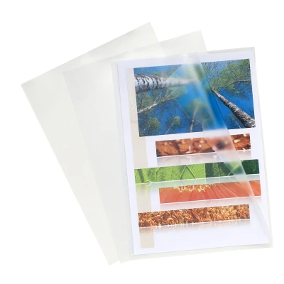 Afbeelding van Exacompacta L map A4 glad 0,12 mm helder 100stuks