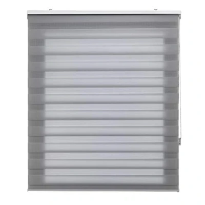 Afbeelding van Blindecor Rolgordijn voor dag en nacht, grijs, 90 x 250 cm