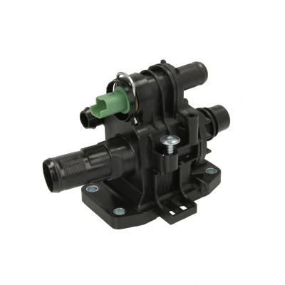 Afbeelding van Thermotec Thermostaat D2C009TT