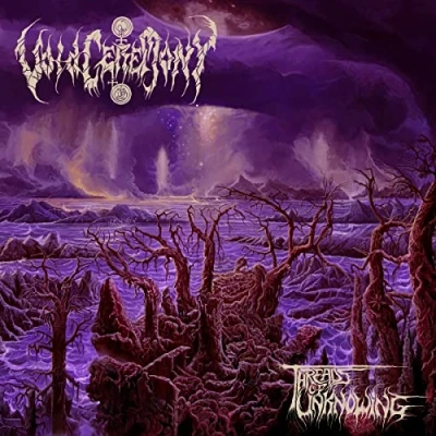 Afbeelding van Voidceremony Threads of Unknowing (LP)