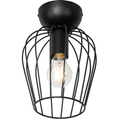 Afbeelding van QAZQA Moderne plafondlamp zwart Palica
