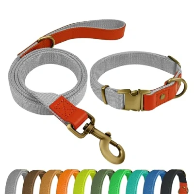 Afbeelding van QRDA Hondenhalsband en Riem Set Zilvergrijs Gepersonaliseerde Verstelbare Tactische voor Middelgrote Honden Grote