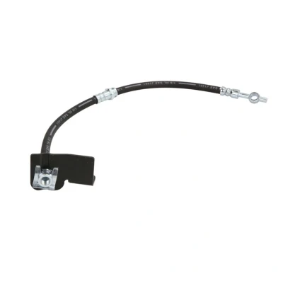 Afbeelding van Delphi Diesel Remslang LH7120