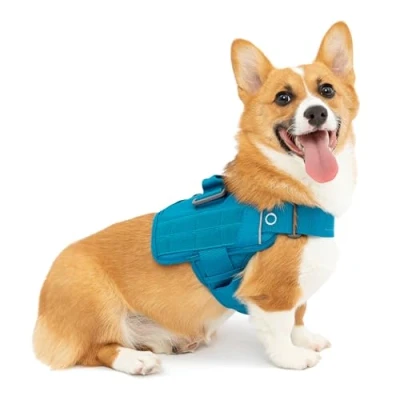 Afbeelding van Kurgo RSG hondentuig, eenvoudig aan en uittrekbaar hondenwandelharnas, verstelbaar, MOLLE compatibel, klein kustblauw, set van 1 stuks