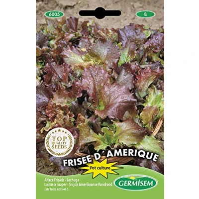 Afbeelding van Germisem Frisee D&#039;Amerique Sla Zaden 5 g