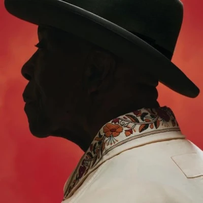 Afbeelding van Buddy Guy Ain&#039;t Done With the Blues (2 LPs)