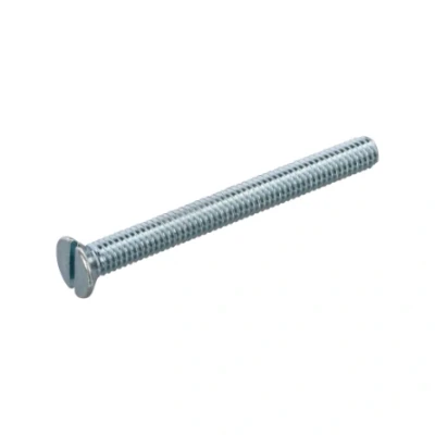 Afbeelding van Hoenderdaal SCHROEF STL M3X10 DS200