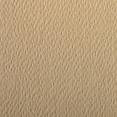 Afbeelding van Clairefontaine Ref 90866C Etival Gekleurd Graineerd Tekening Papier (Verpakking van 5 Vellen) A4 (29,7 x 21cm) 160 g/m² Cellulose Art Paper Camel Zuurvrij, pH Neutraal