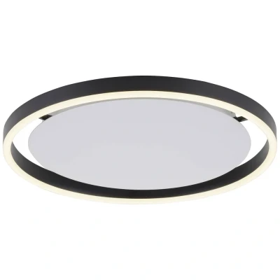 Afbeelding van Paul Neuhaus Plafondlamp Ritus Ø 40 cm antraciet