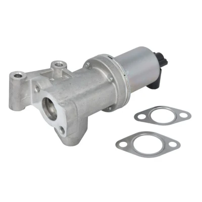 Afbeelding van Delphi Diesel EGR klep EG10609 12B1
