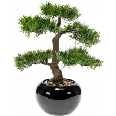 Afbeelding van Bonsai 1 Driesprong Collection