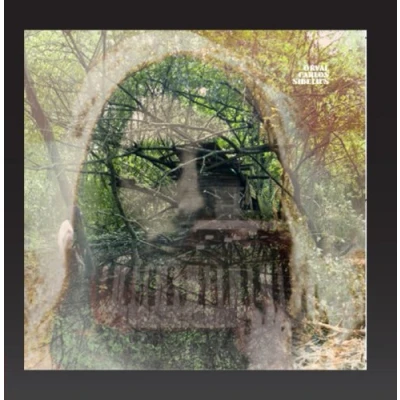 Afbeelding van Orval Carlos Sibelius (CD)