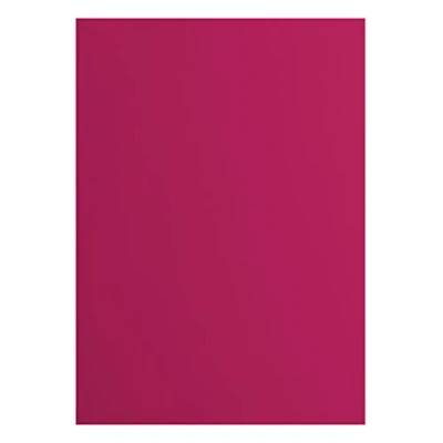 Afbeelding van Vaessen Creative 2927 025 Florence Cardstock papier, roze, 216 gram/m², DIN A4, 10 stuks, glad, voor scrapbooking, kaarten maken, ponsen en andere papierknutselwerk