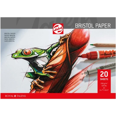 Afbeelding van Talens Bristol papier, 250 g/m², ft 29,7 x 42 cm (A3) tekenpapier