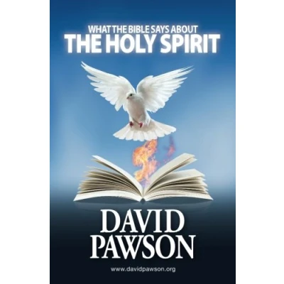 Afbeelding van What the Bible Says About Holy Spirit