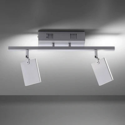 Afbeelding van Paul Neuhaus Plafondlamp Pure Mira 2 lichts aluminium 6354 95