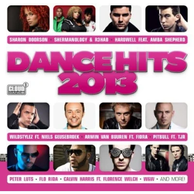 Afbeelding van Various Artists Dance Hits 2013