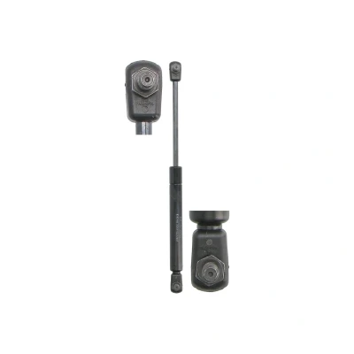 Afbeelding van Gasveer STABILUS STA8042NM