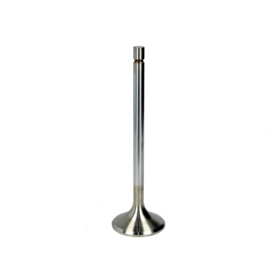 Afbeelding van TRW Engine Component Uitlaatklep 25250